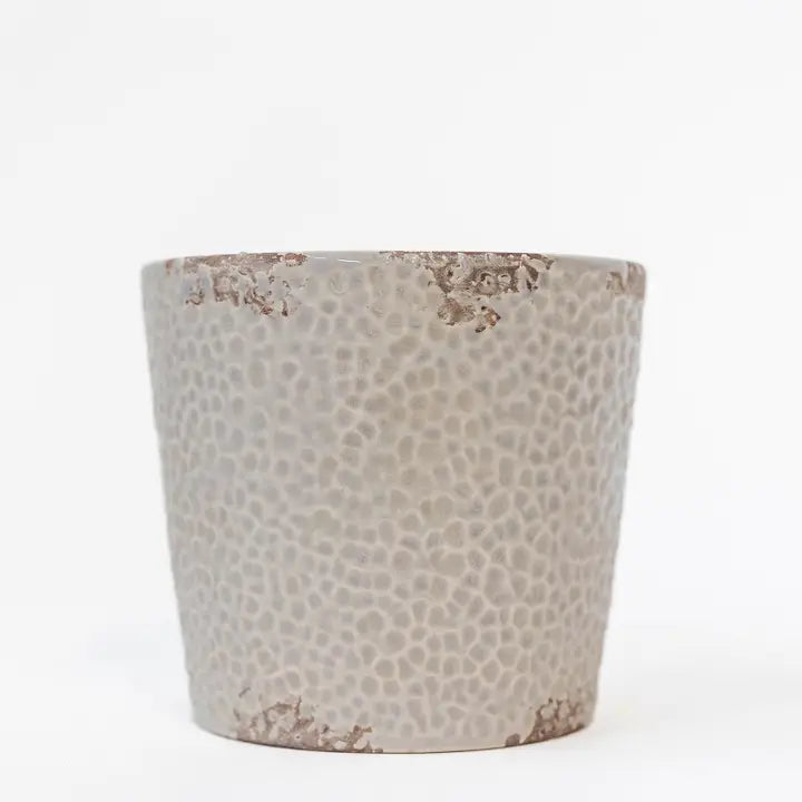 Dotted Pot