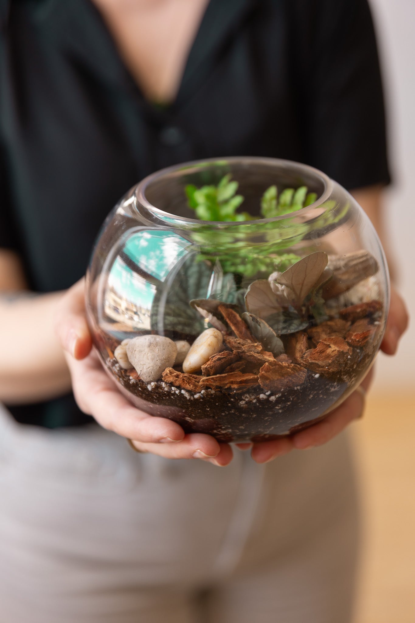 Terrarium Workshop