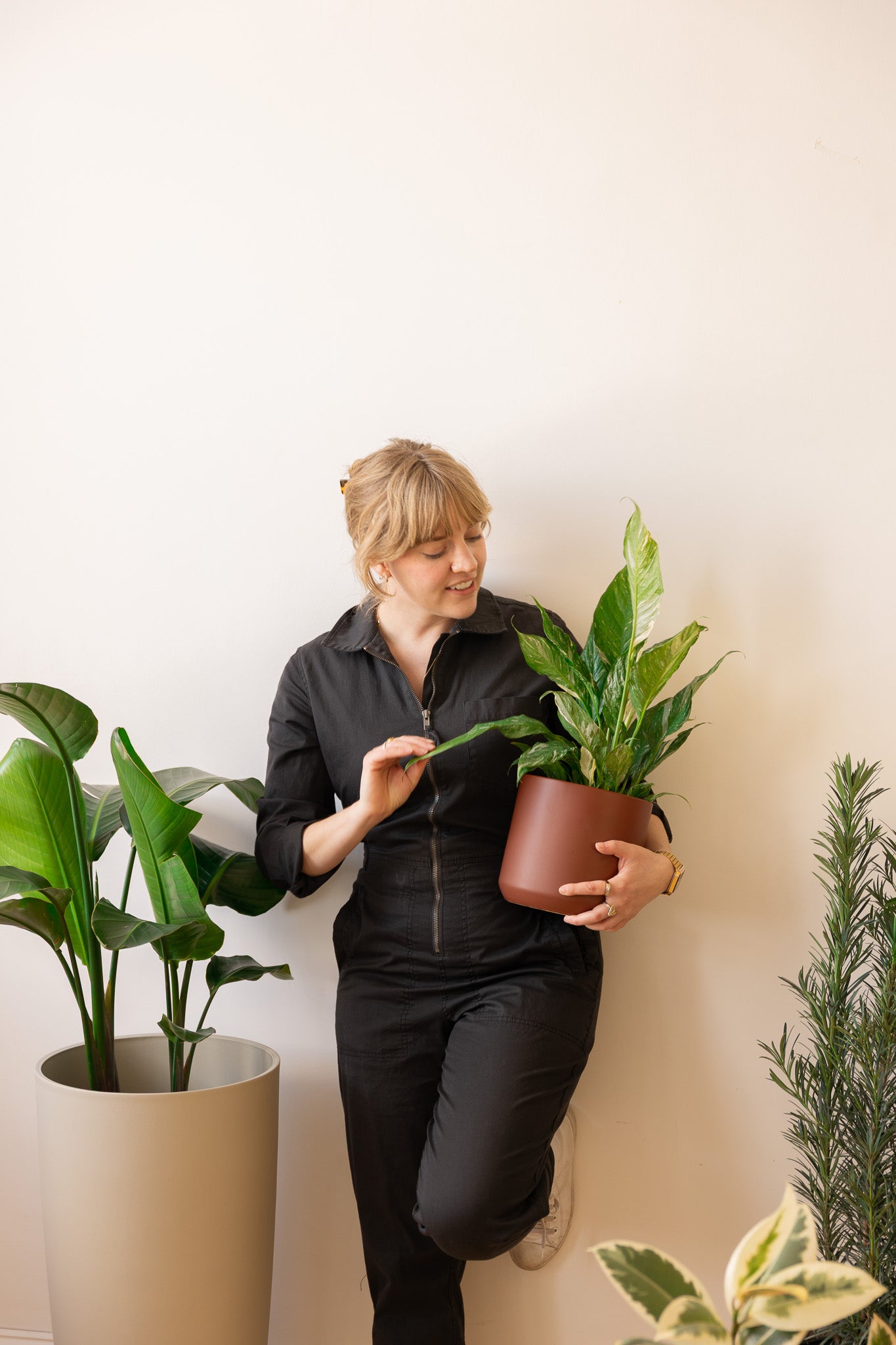 Indoor Plant Space Consultation