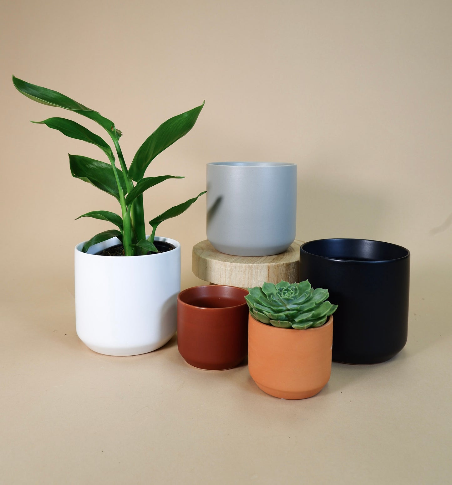 Kendall Pot - Neutrals