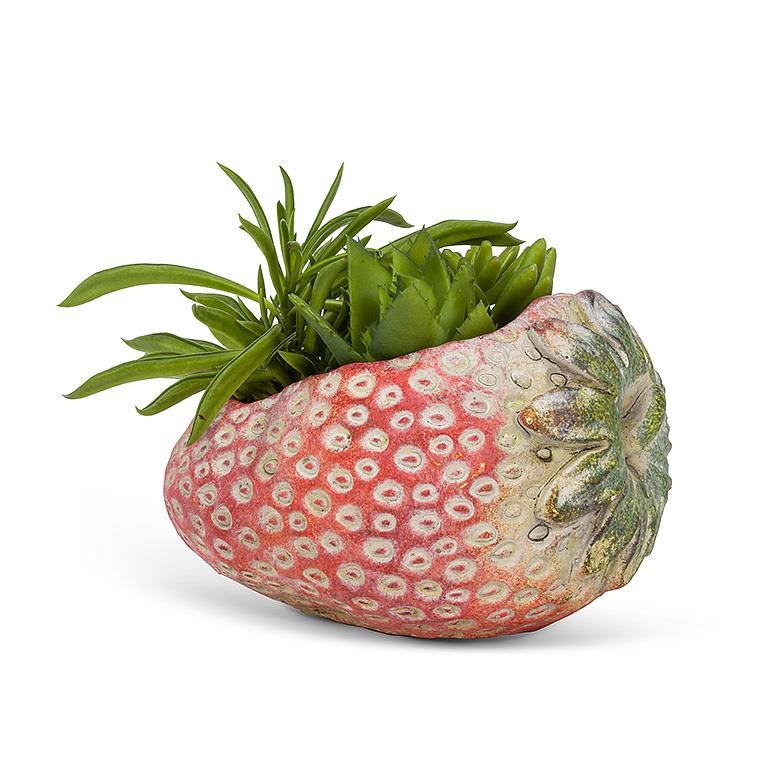 Laying Strawberry Planter