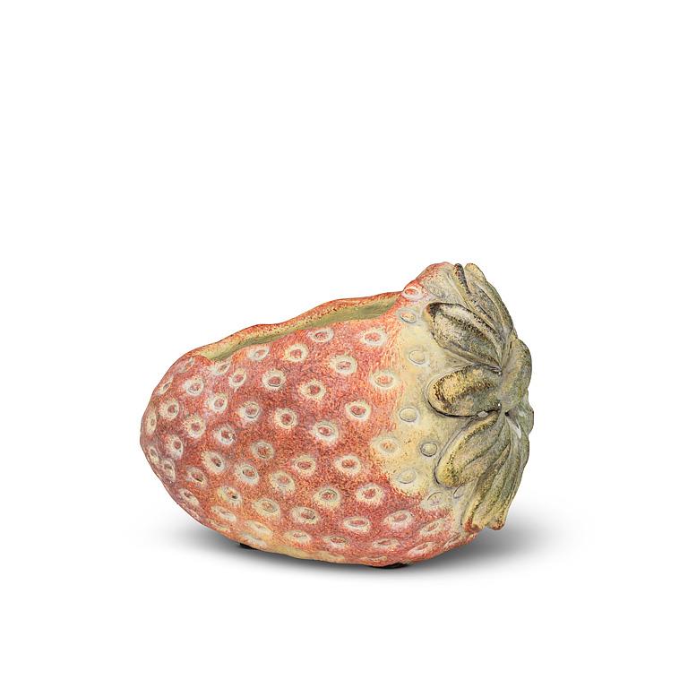 Laying Strawberry Planter