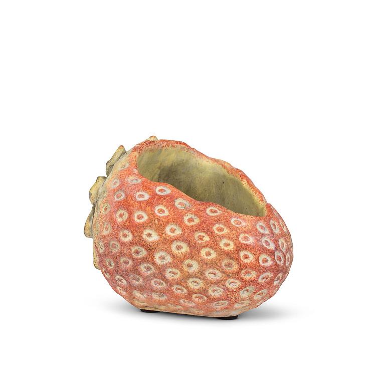 Laying Strawberry Planter
