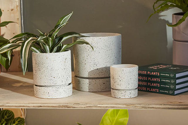 Nisha Pot w/Tray