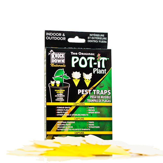 Sticky Pest Traps