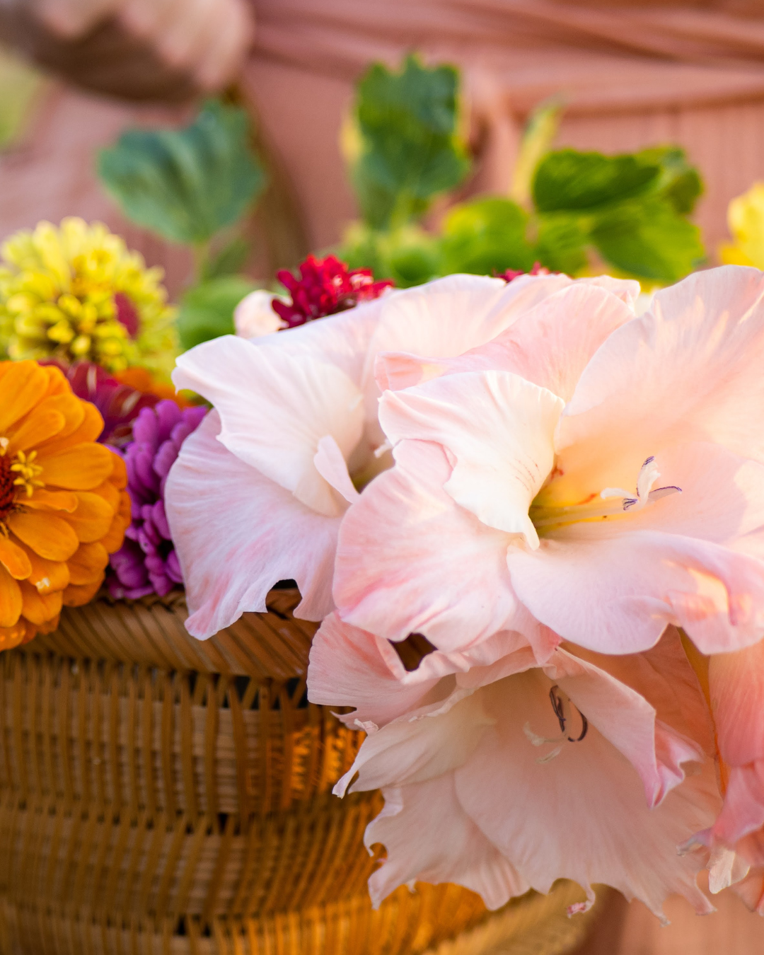 Flower Seed Starting Workshop w/ Bloom & Bushel