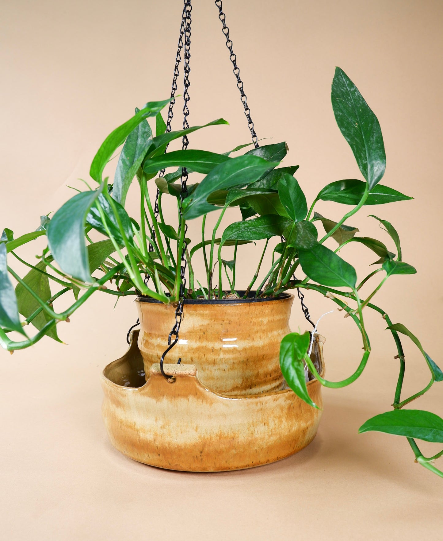 Clay Hanging Pot w/ Saucer