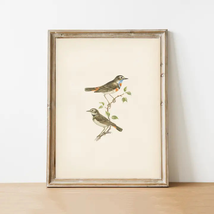 Bluethroat Bird Print by Pink Lemon Decor