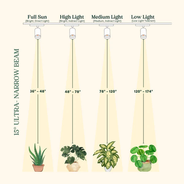 Highland™ LED Track Light System - Wall Plug