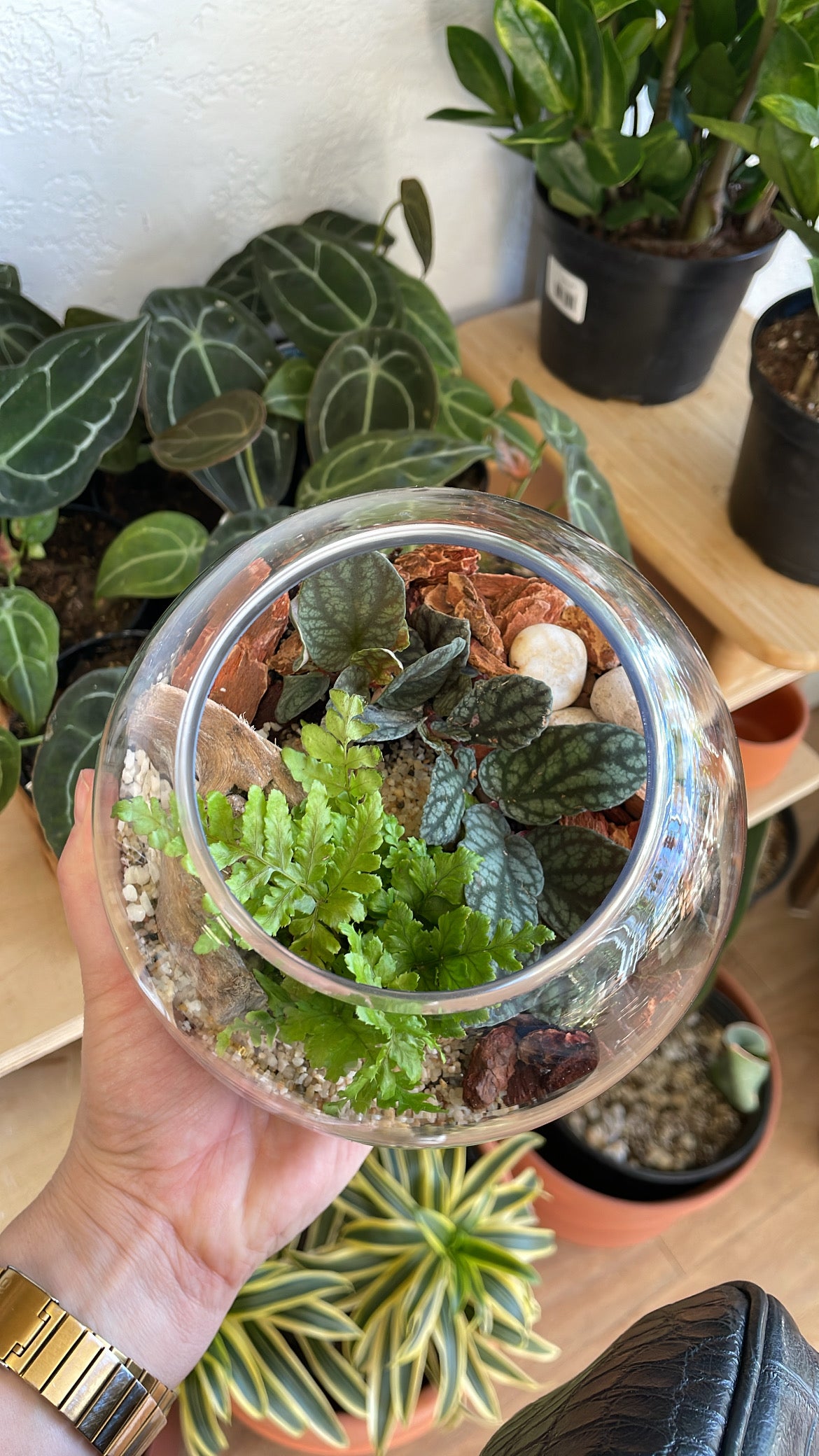 Terrarium