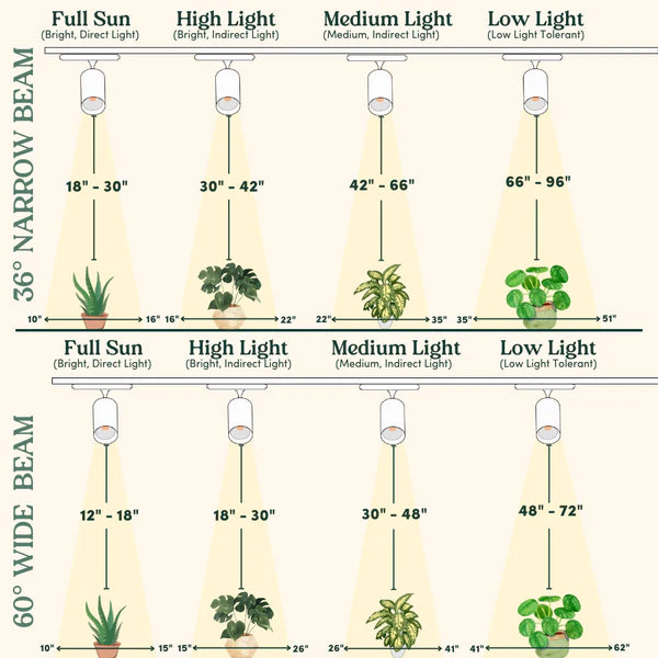 Highland™ LED Track Light System - Wall Plug