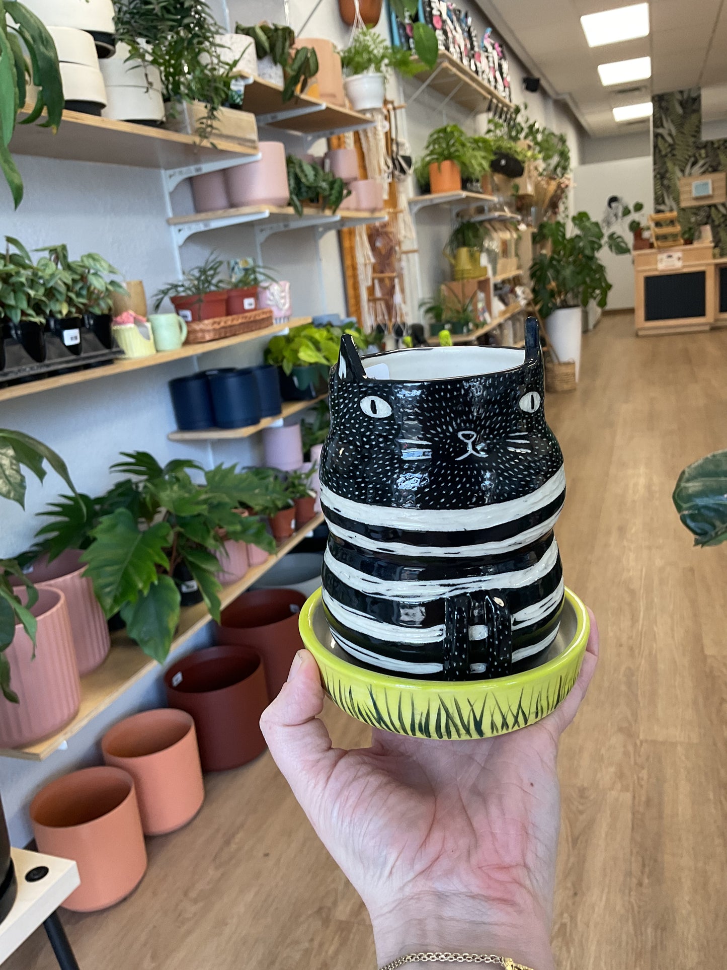 Funky Cat Pot