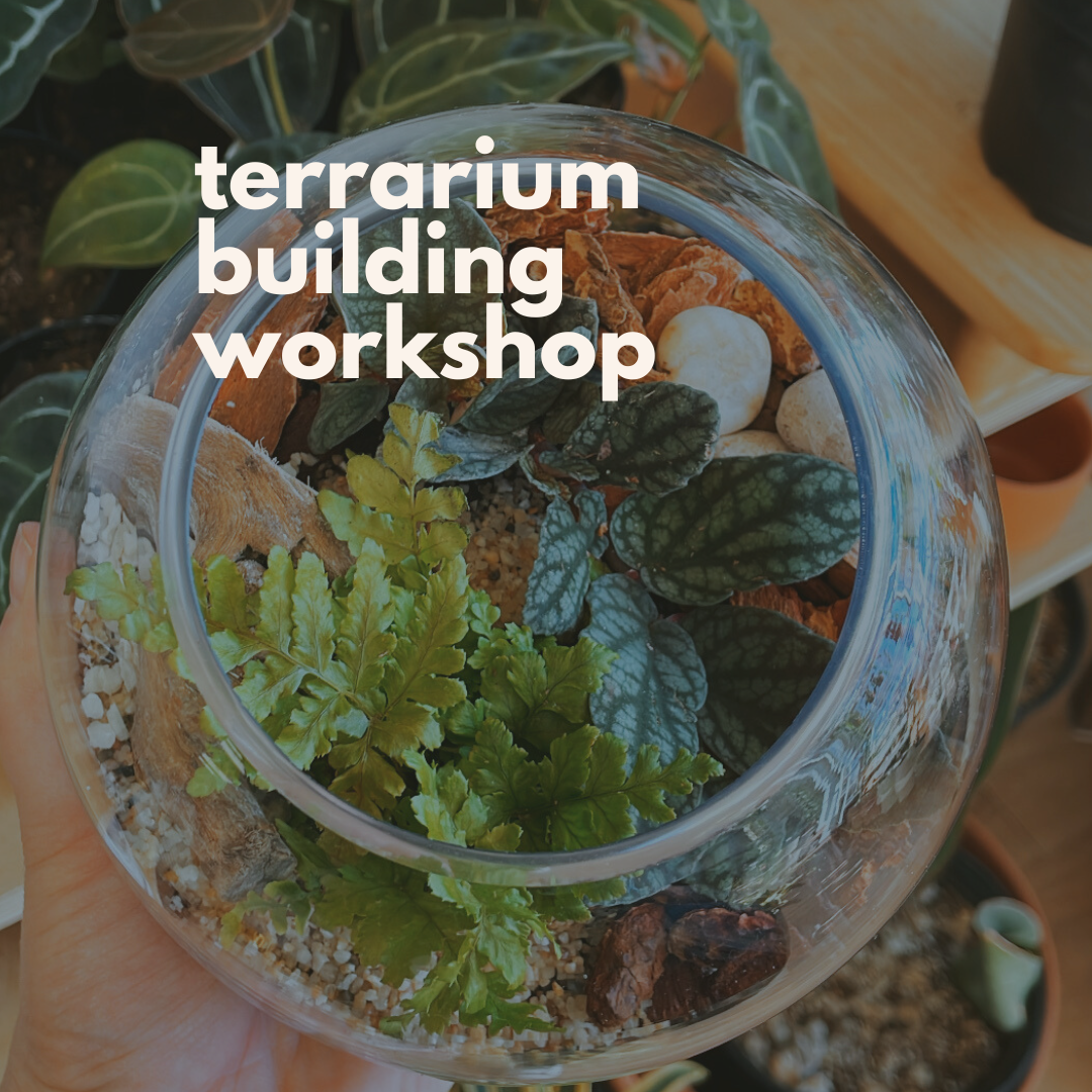 Terrarium Workshop