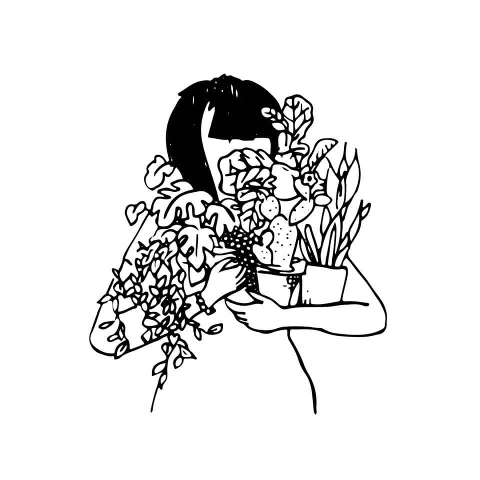 Orchid Pot