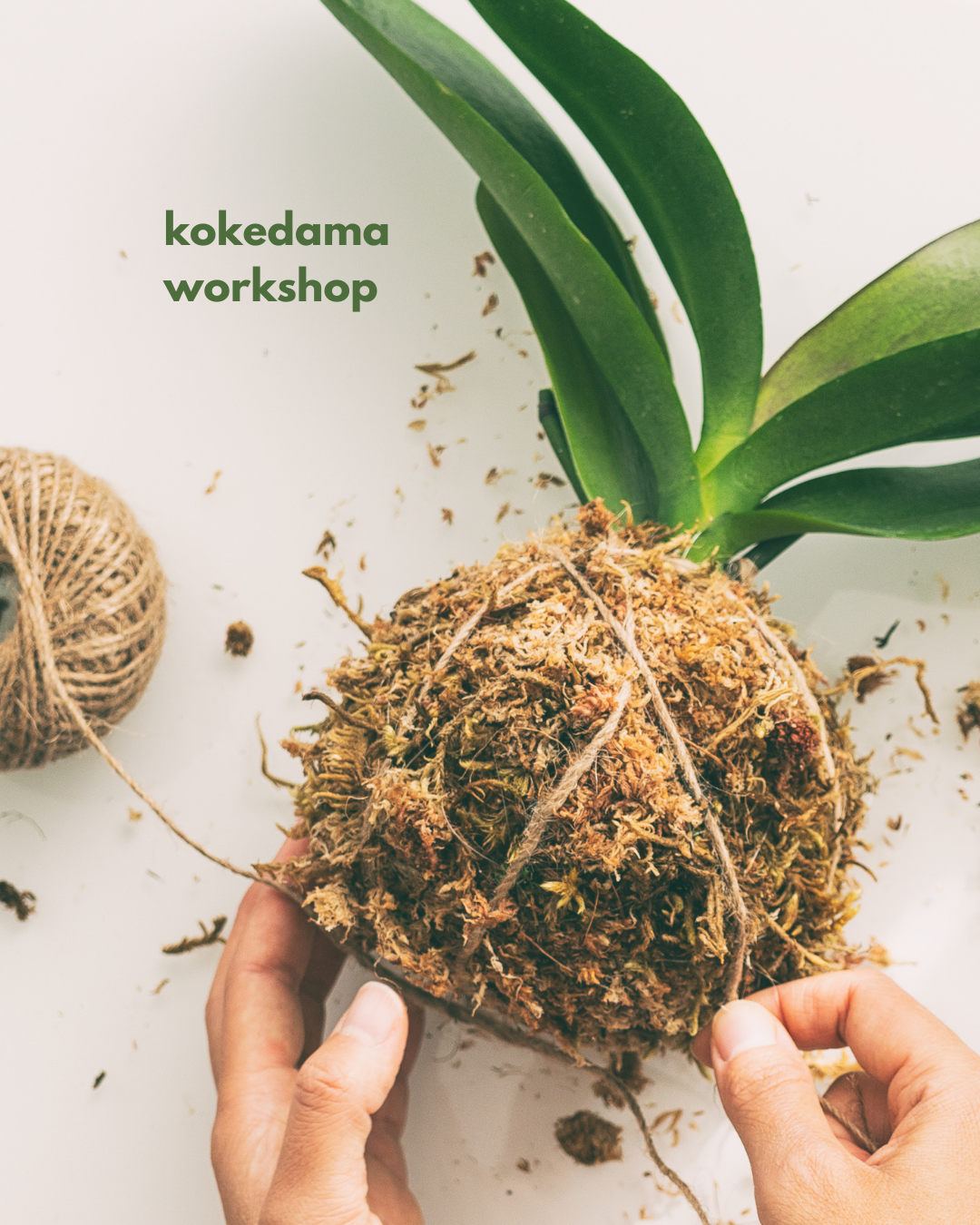 Kokedama Workshop
