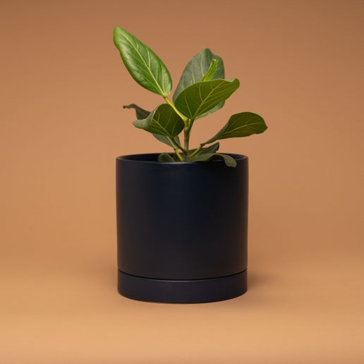 Romey Pot