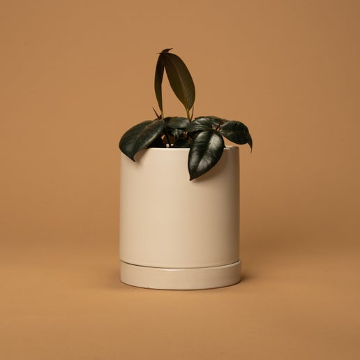 Romey Pot