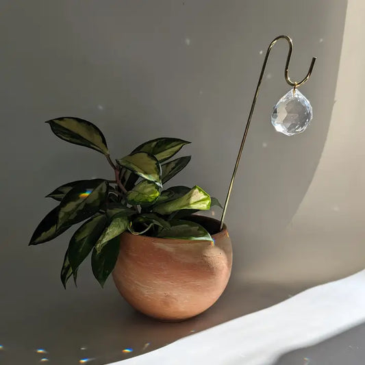 Sun Catcher Plant Pick