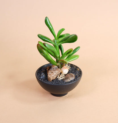 Potted Arrangement