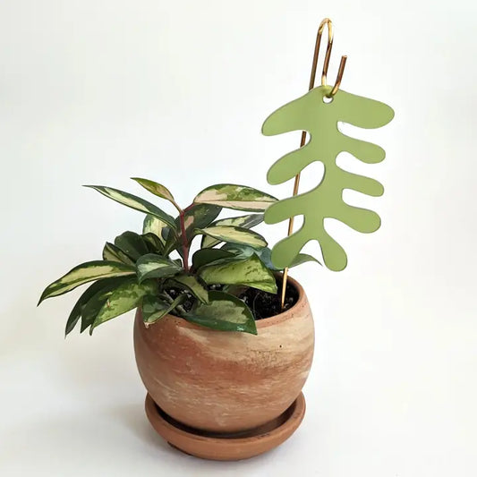 Fern Charm Plant Pick