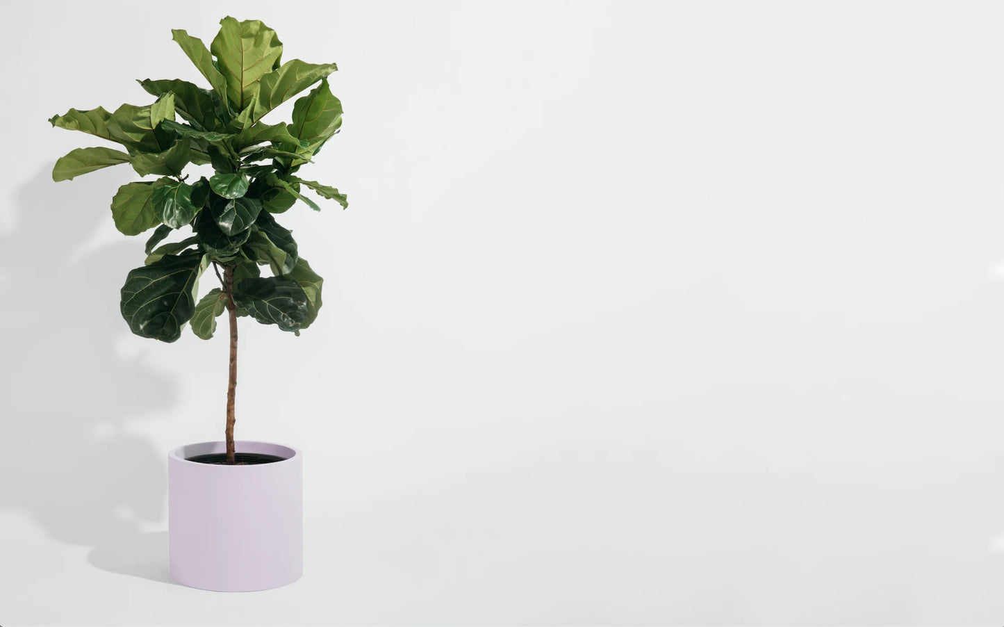 Cylinder Planter