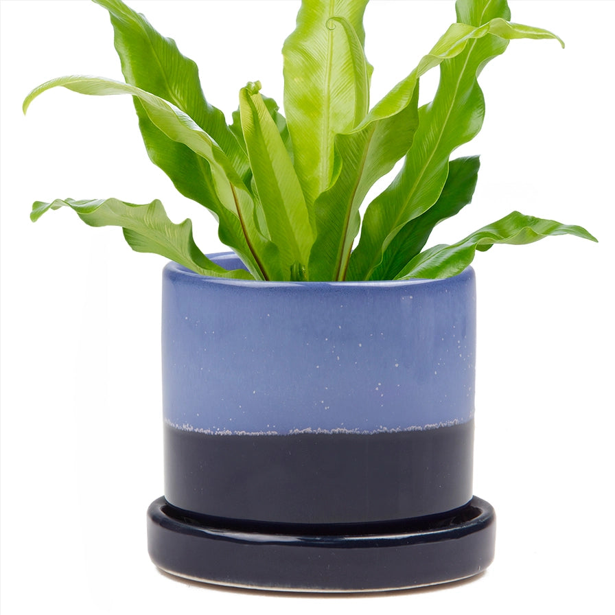 Minute Ceramic Pot