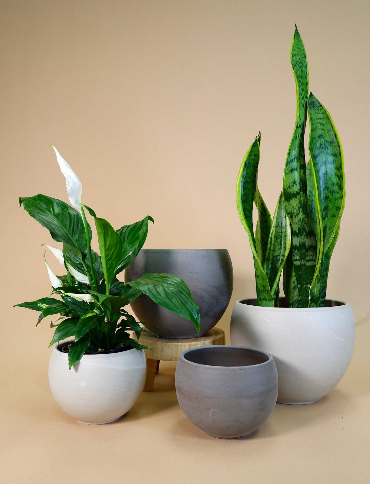 Luna Sphere Pot