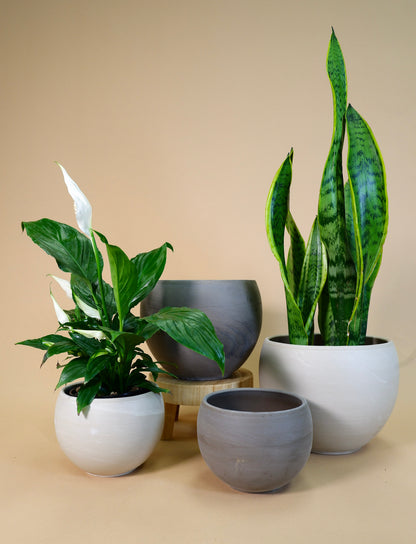 Luna Sphere Pot