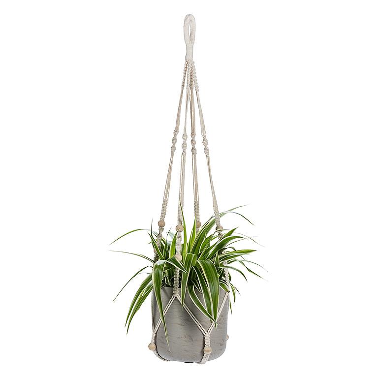 Macramé Hanger