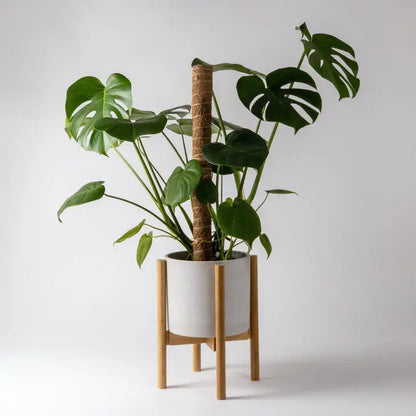 Adjustable Bamboo Plant Stand