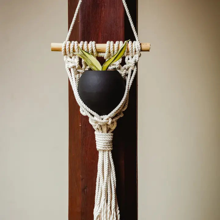 Macrame Wall Planter