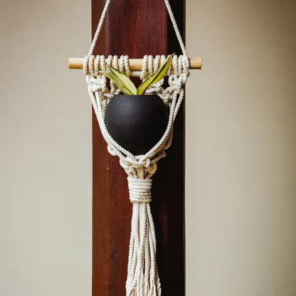 Macrame Wall Planter