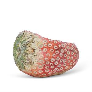 Laying Strawberry Planter