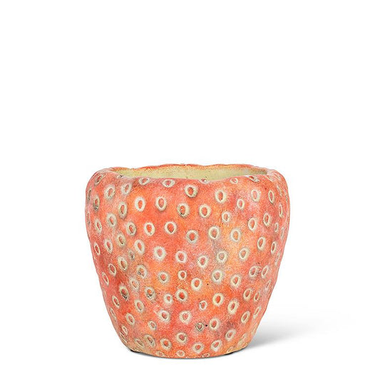 Strawberry Planter