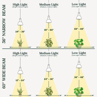 Vita™ Grow Light