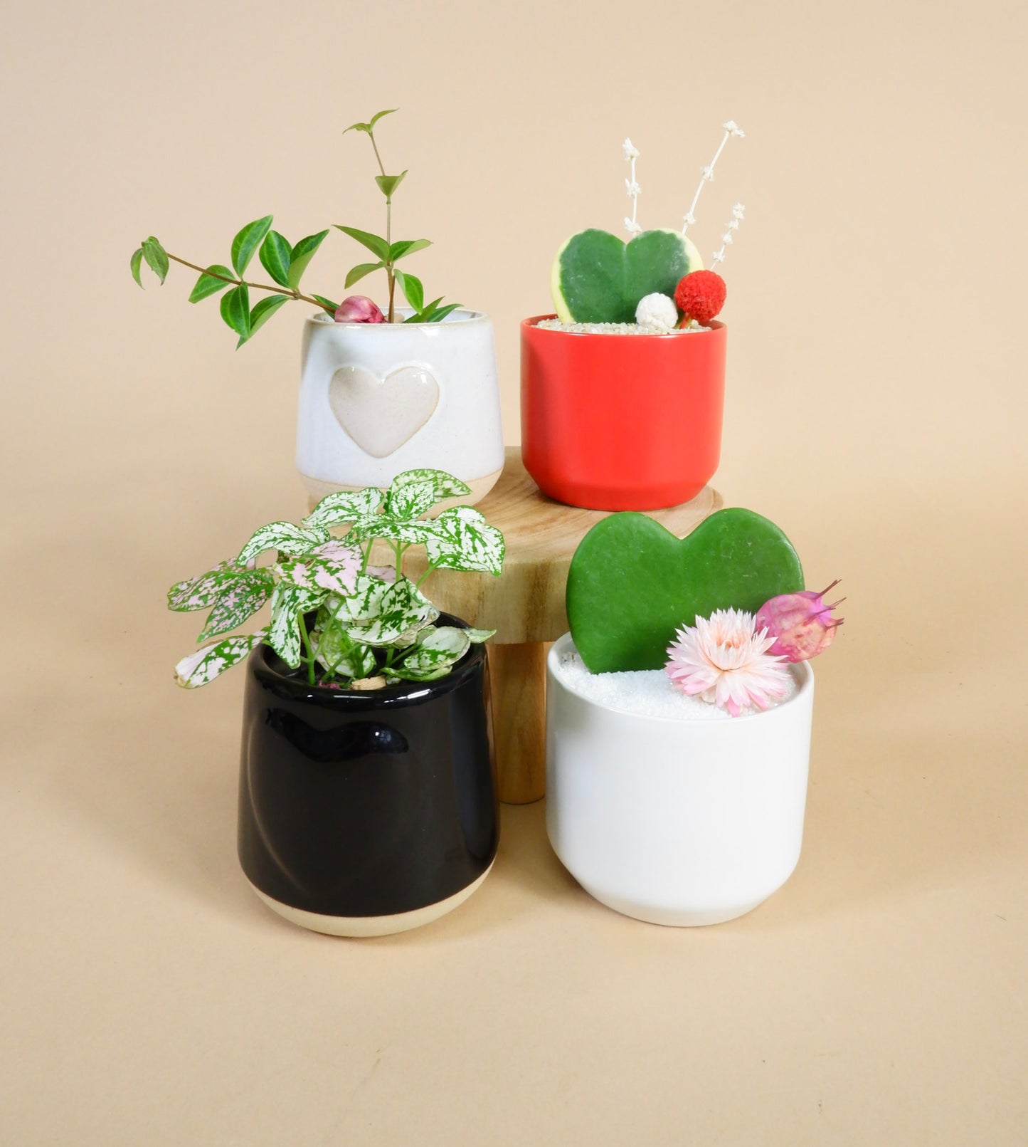 Cupid's Pot
