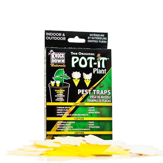 Sticky Pest Traps