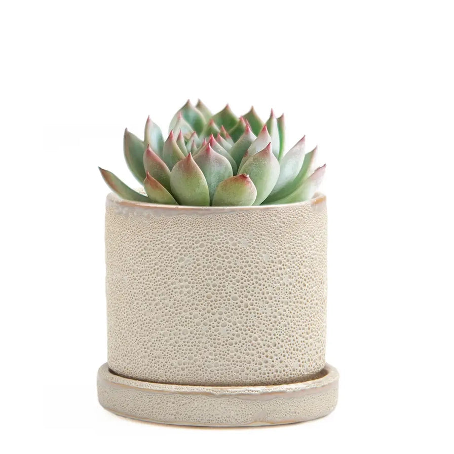 Minute Ceramic Pot