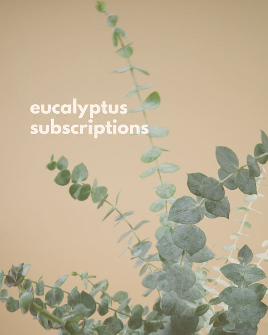Fresh Eucalyptus + Hey Dough Cookie Subscription