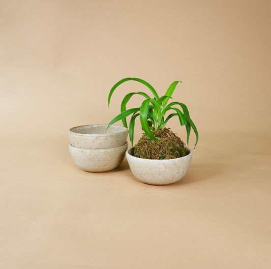 Clay Trinket Bowl/Saucer