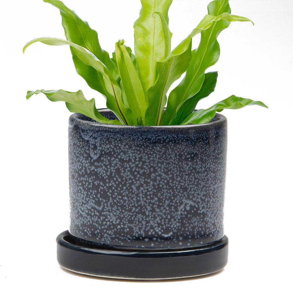 Minute Ceramic Pot