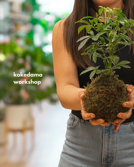 Kokedama Workshop