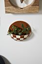 Doren Wall Planter