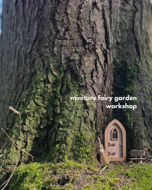 Miniature Fairy Garden Workshop
