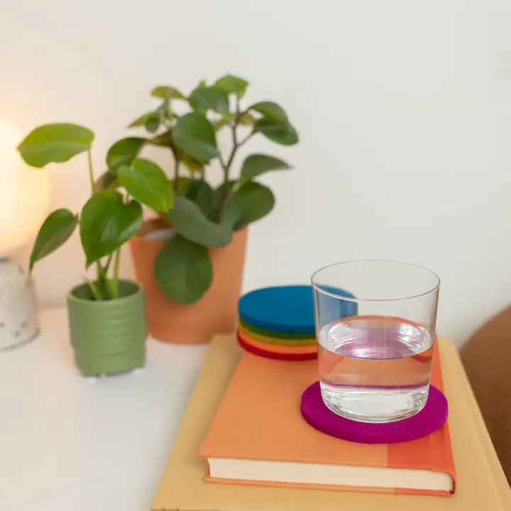 Bierfilzl Merino Wool Felt Round Coaster 4 Pack