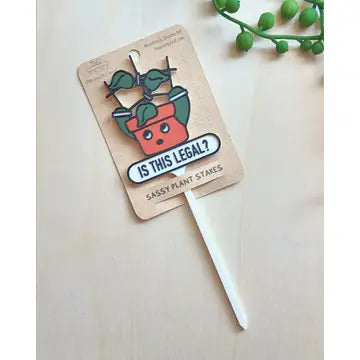 Sassy Plant Stakes