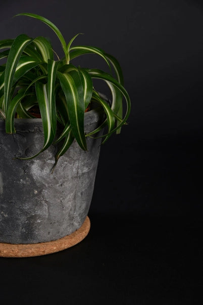 Cork Pot Mat