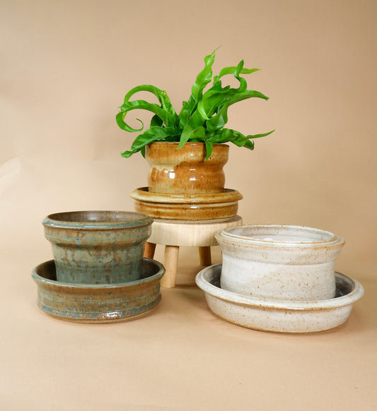 Clay Pot w/ Saucer