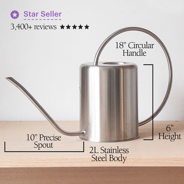 Stainless Steel Watering Can
