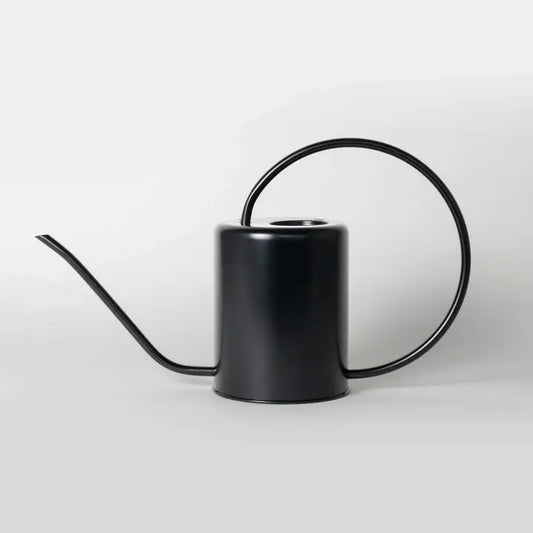 Stainless Steel Watering Can